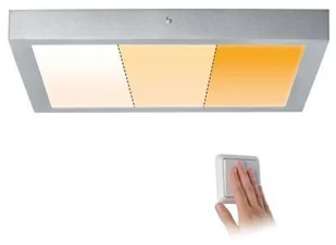 Paulmann Lampa Carpo PL79803 PL79803 - Lampy sufitowe - miniaturka - grafika 2