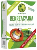 Trawy i trawniki - WORLD OF GRASS Nasiona trawy na tereny sPortowe i rekreacyjne 1 kg samozagęszczjąca World of grass - miniaturka - grafika 1