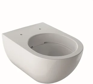 Geberit Ceramika Acanto Toaleta WC podwieszana 51x35 cm Rimfree bez kołnierza biała 500.600.01.2 - Miski WC Geberit Ceramika Acanto Toaleta WC podwieszana 51x35 cm Rimfree bez kołnierza biała 500.600.01.2 - Miski WC - miniaturka - grafika 1