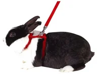 Akcesoria dla gryzoni - Kerbl KERBL 83969 naczynia do królik sortowane kolorystycznie - miniaturka - grafika 1