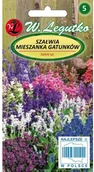 Nasiona i cebule - Legutko Szałwia - mieszanka gatunków 5903837309962 - miniaturka - grafika 1