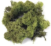 Nożyce kuchenne - RAYHER HOBBY Rayher islandmoos, worek 1 kg, 35 x 21 x 14 cm 8500311 - miniaturka - grafika 1