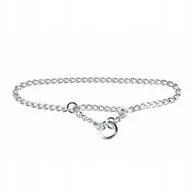 Obroże dla psów - Chaba obroża metalowa pojedyncza 2.5/40 cm - miniaturka - grafika 1