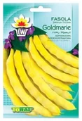 Nasiona i cebule - Toraf Fasola tyczna Goldmarie 10g Nas000365 - miniaturka - grafika 1