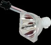 Lampy do projektorów - Phoenix Lampa do SHP114 - oryginalna lampa bez modułu SHP114 - miniaturka - grafika 1