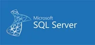 Oprogramowanie serwerowe - Microsoft MicrosoftSQLServerStandardEdition 2019 Government OLP 1License 228-11487 - miniaturka - grafika 1