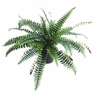 Sztuczne kwiaty - Leaf Artificial Boston paproć roślin  garnek do garnków w kolorze czarnym z tworzywa sztucznego - miniaturka - grafika 1
