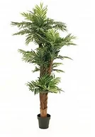 Sztuczne drzewka - Europalms EUROPALMS Palma Areca, sztuczna roślina, 170 cm 82509408 - miniaturka - grafika 1
