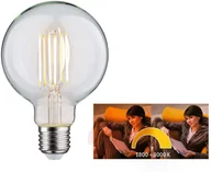 Żarówki LED - Paulmann żarówka globe kulista E27 7W dim to warm - miniaturka - grafika 1