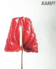 Agora Kamp! Kamp! - Kamp! - Książki o muzyce - miniaturka - grafika 3