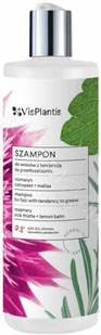 Vis Plantis Herbal Vital Care Szampon do włosów z tendencją do przetłuszczania się Rozmaryn Ostropest Melisa 400 ml - Szampony do włosów - miniaturka - grafika 2