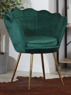 Aropos1 Welurowy fotel muszelka SHELL granatowy na złotych nogach - Fotele - miniaturka - grafika 2