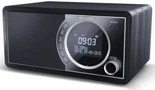 Sharp DR-450 białe - Radia - miniaturka - grafika 13