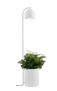 Kaspa : lampa podłogowa BOTANICA XL 40848101 - Lampy stojące - miniaturka - grafika 4
