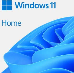 Microsoft Windows 11 Home 64Bit Polish 1pk DSP OEI DVD KW9-00648 - Systemy operacyjne - miniaturka - grafika 3
