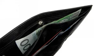 Pierre Cardin Portfel Męski Skórzany Skóra Licowa Poziomy Bez Zapięcia YS507.1 325 - Portfele - miniaturka - grafika 2