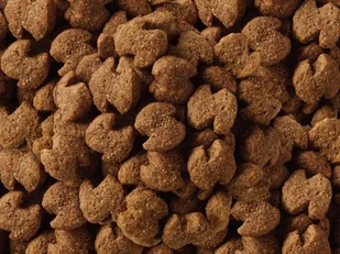 Eukanuba Eukanuba Adult Rottweiler Breed 12kg - Sucha karma dla psów - miniaturka - grafika 3