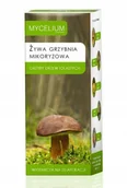 Nawozy ogrodnicze - Grzybnia Mikoryza Grzyby Drzew Iglastych 250 ml - miniaturka - grafika 1