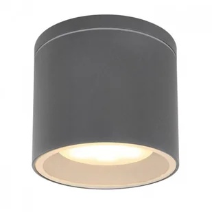 Globo Lighting Alcala Ogrodowa Globo Lighting 32063A - Lampy ogrodowe - miniaturka - grafika 2