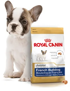 Royal Canin French Bulldog Junior 10kg Opakowanie uszkodzone 426) ! 257530 - Mokra karma dla psów - miniaturka - grafika 4