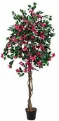 Sztuczne drzewka - Europalms Europalms Bougainvillea, red, 180cm, Sztuczne drzewo 82507056 - miniaturka - grafika 1