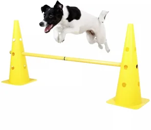 Kerbl Zestaw akcesoriów do tresury psa 2-w-1, żółty, 81994 - Zabawki dla psów - miniaturka - grafika 2