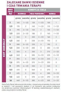 Royal Canin weterynaria Cat Early Renal 12x85g saszetka 291760 - Mokra karma dla kotów - miniaturka - grafika 2