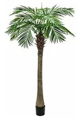 Sztuczne drzewka - Europalms EUROPALMS Phoenix palma luxor, sztuczna roślina, 210 cm 82510721 - miniaturka - grafika 1