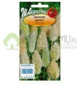 Nasiona i cebule - Legutko Dmuszek jajowaty 0,2 g słomkowo-biały - miniaturka - grafika 1