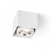 Oprawy, klosze i abażury - Redlux Oprawa sufitowa JAMES I DIMM R13361 R13361 - miniaturka - grafika 1