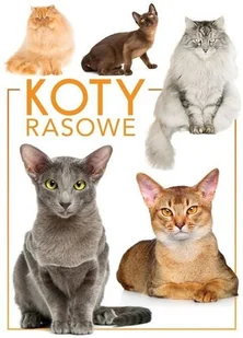Koty rasowe - Albumy inne - miniaturka - grafika 2