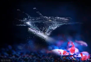 Fenix Latarka diodowa E02R czarna 039-469 - Latarki - miniaturka - grafika 13