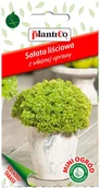 Nasiona i cebule - Plantico Sałata Lollo Bionda Mini Ogród - miniaturka - grafika 1