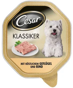 Cesar Wołowina I Drób 150G - Mokra karma dla psów Cesar Wołowina I Drób 150G - Mokra karma dla psów - miniaturka - grafika 3