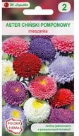 Nasiona i cebule - Legutko Aster chiński pomponowy MIESZANKA - miniaturka - grafika 1