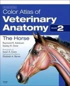 Pozostałe książki - Elsevier Mosby Color Atlas of Veterinary Anatomy, Volume 2, The Horse - miniaturka - grafika 1