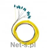 QOLTEC Pigtail światłowodowy 12x LC/UPC SM G657A2 2m 54360 - Kable miedziane - miniaturka - grafika 3