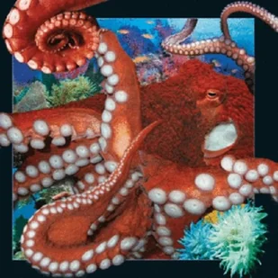 Worth-Keeping Gadżet Worth-Keeping Magnes na lodówkę 3D Ośmiornica WIKR-1000425 WIKR-1000425 - Gadżety USB - miniaturka - grafika 3