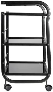 ASYSTOR DO TATUAŻU PRO INK 1013 CZARNY 132969 - Meble kosmetyczne - miniaturka - grafika 5