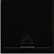 Akcesoria car audio - Legrand bticino hs4915/2AD  Axolute  copri tasto ściemniacz 2 Mod SCURO HS4915/2AD - miniaturka - grafika 1