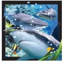 Worth-Keeping Gadżet Worth-Keeping Magnes na lodówkę 3D Rekin WIKR-1000416 WIKR-1000416 - Gadżety USB - miniaturka - grafika 3