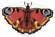 Zabawki i gry sportowe - Latawiec Pawie Oko Motyl Conrad 90CM - miniaturka - grafika 1