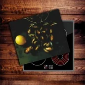 Akcesoria i części AGD - Kuba Grafik Szkło na płytę indukcyjną - Małże 01 KG-atd0rec_kjg-mike-kenneally0083 - miniaturka - grafika 1