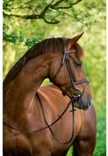 Kerbl Ogłowie wędzidłowe Classic, skóra, brązowe, rozmiar Pony, 324911 - Ogłowia - miniaturka - grafika 2