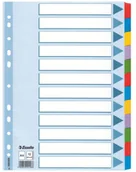 Przekładki do segregatorów - Esselte Przekładki kartonowe Mylar A4 12 kart z laminowanymi indeksami 100169 - miniaturka - grafika 1