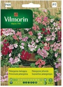 Nasiona i cebule - Vilmorin Nasiona pelargonia zwisająca - miniaturka - grafika 1