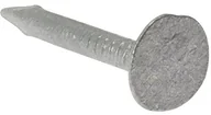 Gwoździe - Forgefix forgefix elh25gb50 dach gwoździe, ocynkowane, XL, 500 G głowa clout Nail ELH25GB50 - miniaturka - grafika 1