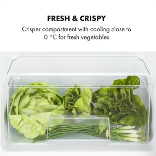 Lodówka Klarstein Big Daddy Cool HEA16-MRF-96-BDC - Lodówki - miniaturka - grafika 5