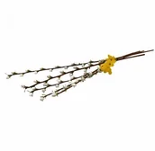 Wielkanoc - Arpex Sztuczne bazie na Wielkanoc gałązki 50cm 5 szt VJ4779 VJ4779 - miniaturka - grafika 1