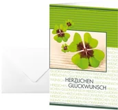 Pozostałe akcesoria dla plastyków - Sigel Glückwunschkarten 17 x 11,5 cm, 10 sztuk, incl. białe koperty DS004 - miniaturka - grafika 1